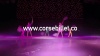 Le Cirque International sur Glace  - AIACCIU