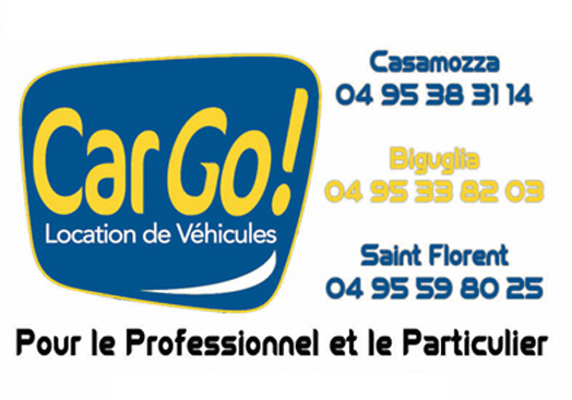 Aio Festivale - Patrick Bruel en concert