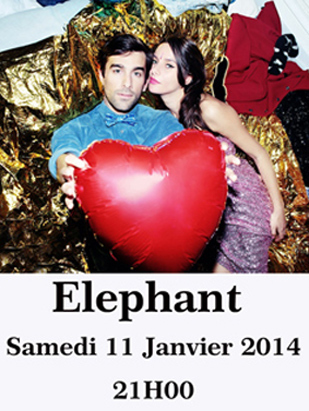 Elephant en concert Janvier 2014