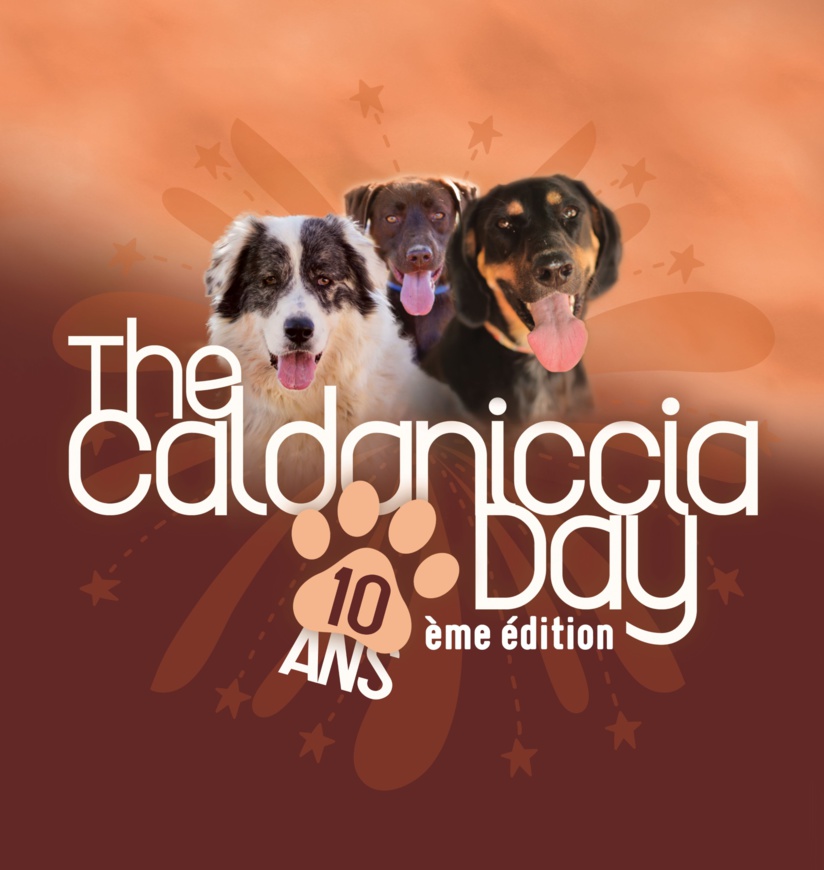 Caldaniccia Day 2024, i 10 anni Caldaniccia Day 2024, i 10 anni