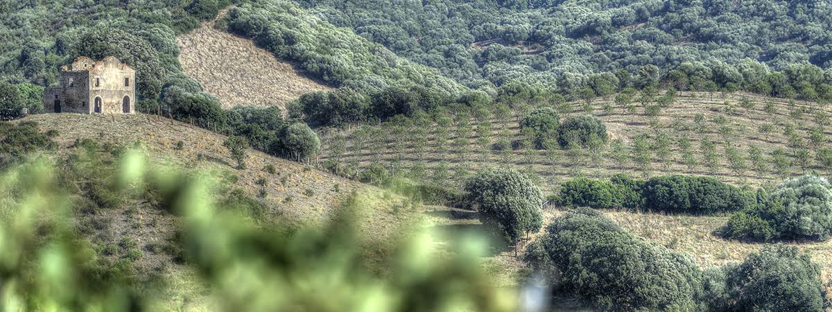 Domaine Sant Armettu