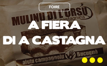 A fiera di a Castagna