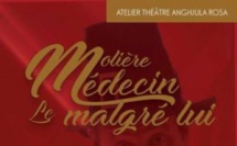 Théâtre - Le médecin malgré lui, de Molière juin 2017