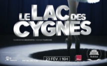 VIDEOTRANSMISSION Le Lac des Cygnes