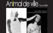 Animal de Ville Avril 2015