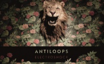 Antiloops mars 2016