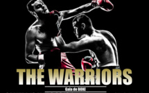 The Warriors, Les Guerriers de la Nuit mars 2016