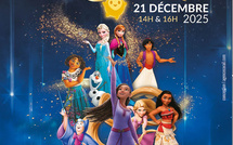 Asha et l'étoile Magique  - AIACCIU