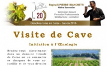 Autour d'un domaine Juin 2016